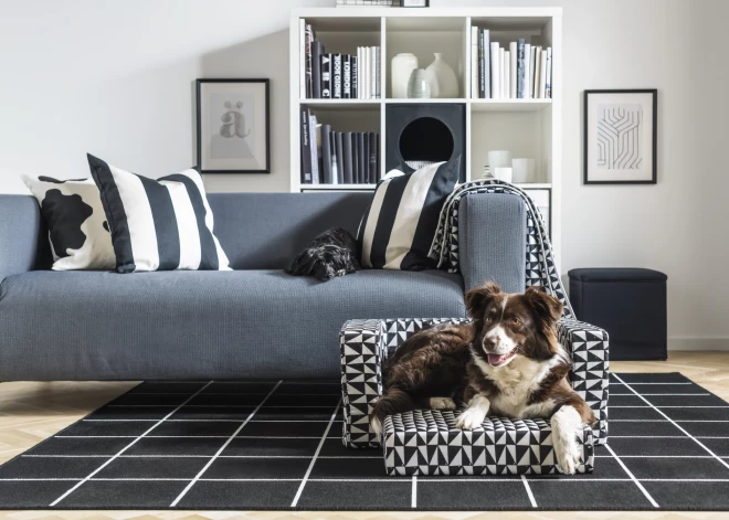 IKEA 80 gadi: Ģimenei piemērots dīvāns