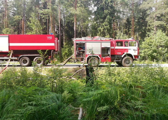 Šogad Latvijā izdeguši 629 hektāri meža