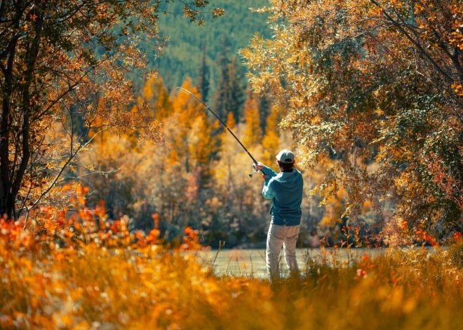Zivju makšķerēšana rudens sezonā: padomi un stratēģijas