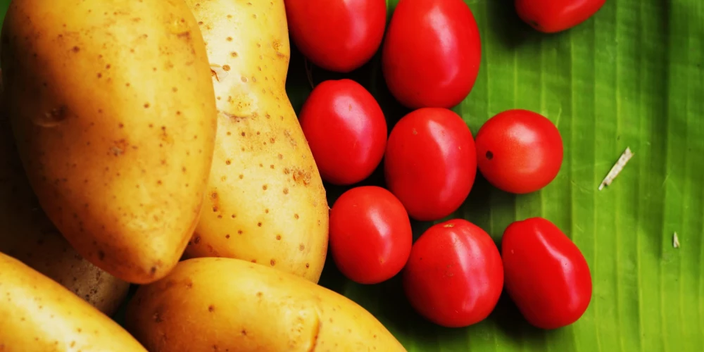 Kartupeļi un tomāti: kāpēc citi tos uzskata par veselībai kaitīgiem? Un kurām cilvēku grupām patiešām būtu jāatturas no to ēšanas?