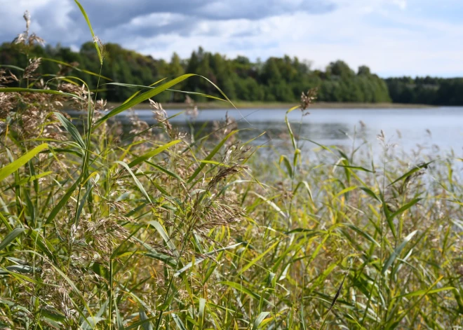 Pirmdien saglabāsies saulains un silts laiks