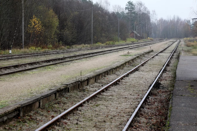 Dzelzceļa sliedes pie "Rail Baltica" reģionālās stacijas "Saurieši".