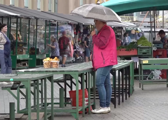 Торговцам грибами на Центральном рынке не положено сиденье. Почему?