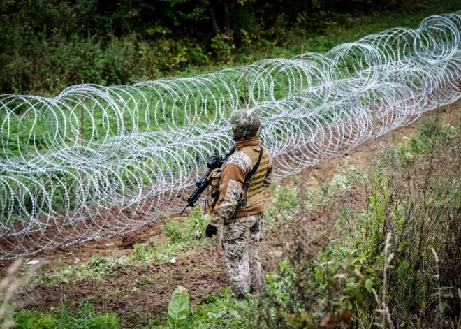 "Латыши обратились к Эстонии с просьбой прислать помощь": ситуация на границе с Беларусью обостряется