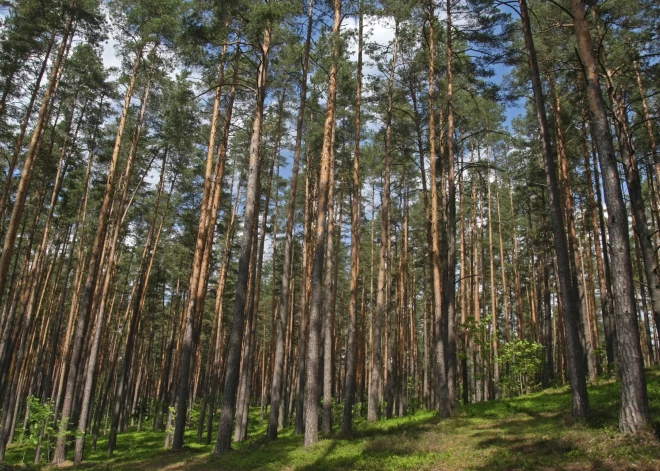 "Mēs tur gājām vairāki cilvēki un neviens nepamanīja.." - sieviete dalās nelāgā pieredzē, kas beidzās ar ievietošanu slimnīcā