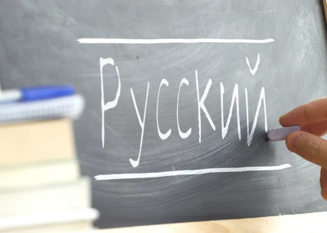 Поправки об отказе от русского языка как второго иностранного в школах переданы на общественное обсуждение