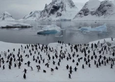 Kas par skatu! Antarktikā "okupēta" Ukrainas polārā stacija