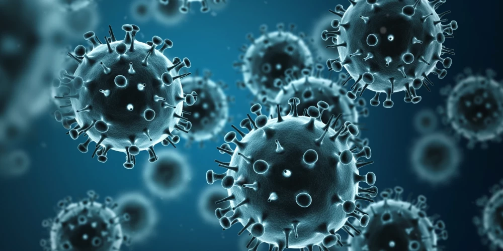 Eiropā konstatēta cūku gripa cilvēkam. PVO brīdina par simptomiem