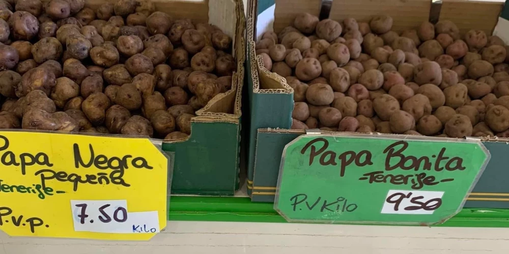 Kartupeļu cenas uzskrējušas mākoņos – pat 7 eiro par kilogramu! Latviešus Kanāriju salās pārsteidz cenas