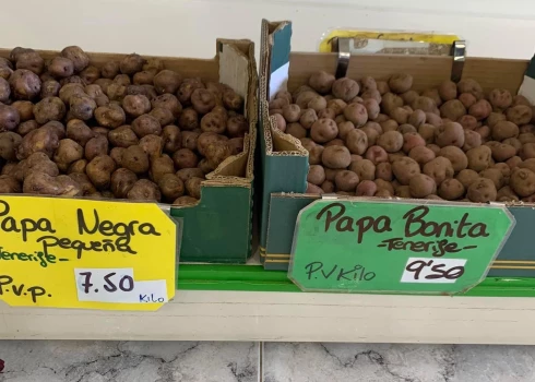 Kartupeļu cenas Kanāriju salās.
