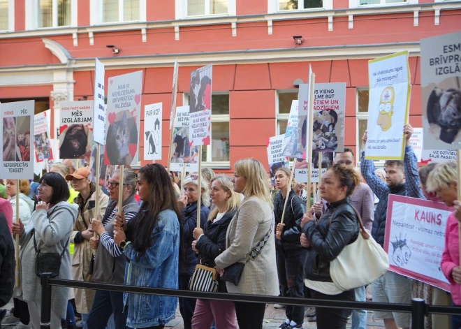 Šodien pie Saeimas ēkas noritēja pikets, kura dalībnieki iestājās pret izmaiņām Dzīvnieku aizsardzības likumā, kas, pēc protesta akcijas rīkotāju domām, apgrūtināšot "dzīvnieku tiesības tikt glābtiem".