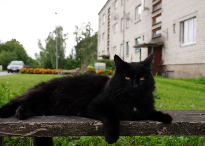 Ceturtdien paaugstināsies gaisa temperatūra