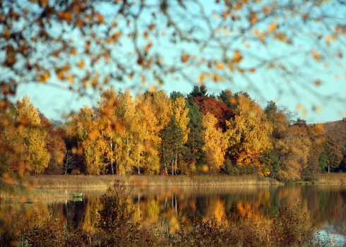 В Латвии началась астрономическая осень. Что это значит?