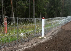 Dzeloņstiepļu žogs uz Latvijas-Baltkrievijas robežas.