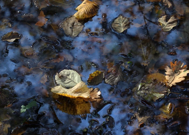 Trešdien gaisa temperatūra Latvijā paaugstināsies līdz plus 24 grādiem