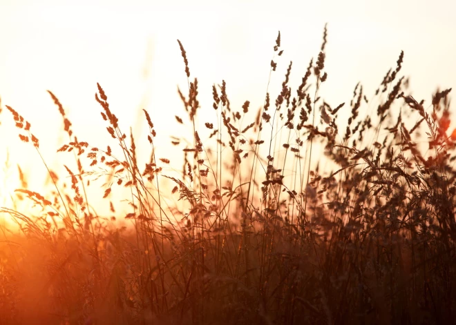 Trešdien Latvijā piecās novērojumu stacijās pārspēti maksimālās gaisa temperatūras rekordi