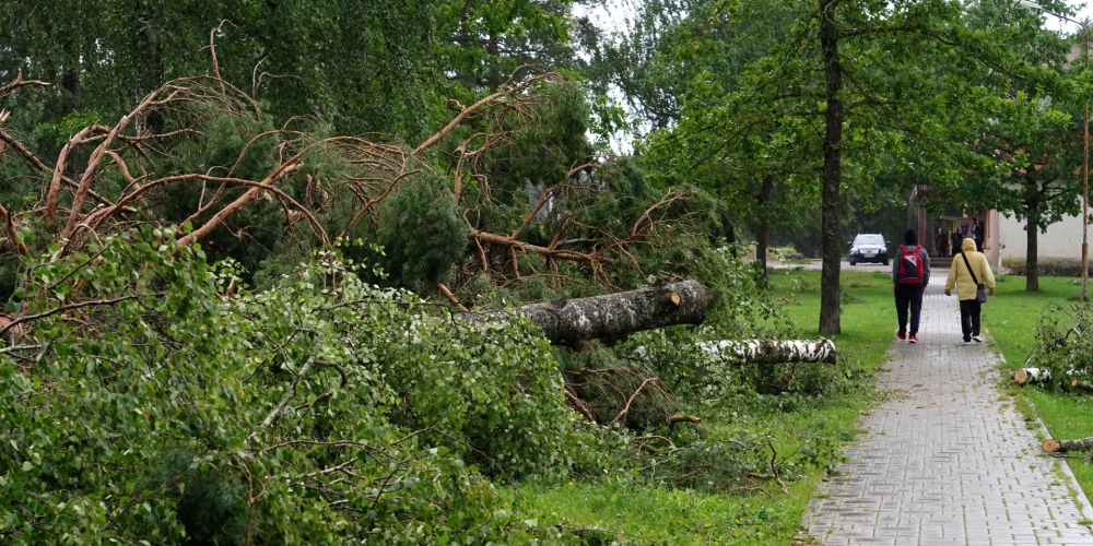 "Sadales tīkls" vēršas pie Latvijas iedzīvotājiem saistībā ar prognozēto vētru