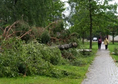 "Sadales tīkls" vēršas pie Latvijas iedzīvotājiem saistībā ar prognozēto vētru