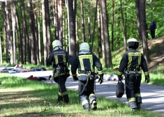 В Межапарке ведутся работы по очистке территории.