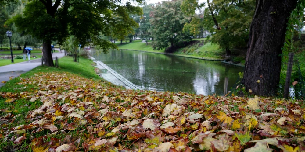 Метеорологическая осень в Латвии началась на 5 недель позже обычного