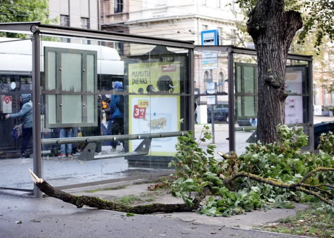 "Swedbank": vētras zaudējumu apmērs varētu būt ap 250 000 eiro