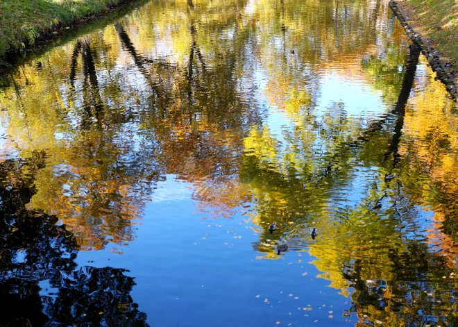 Ceturtdien pūtīs spēcīgs vējš un uzspīdēs saule