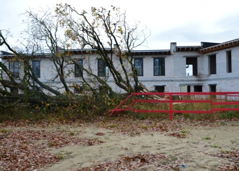 Суд постановил снести дом в Марупе, построенный возле спиленного векового дуба