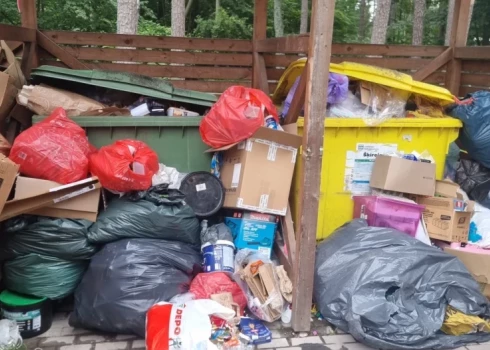 Garkalnē mēslotāju dēļ novāc atkritumu konteinerus, šauj aizsargājamās zosis, suņi traucē Staiceles sportistiem: kriminālā province