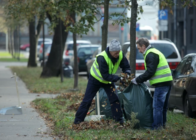 Jūrmalā "CleanR" bez maksas izvedīs savāktās koku lapas