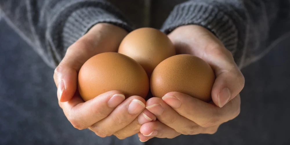Pasaules olu dienā aicina ziedot Ukrainai un pretī saņemt Latvijas ražotāju olas