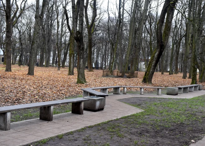 Lielajos kapos 12 koki ir bīstami, bet 50 vēl jāvērtē; drošības nolūkā eksperti iesaka teritoriju neapmeklēt