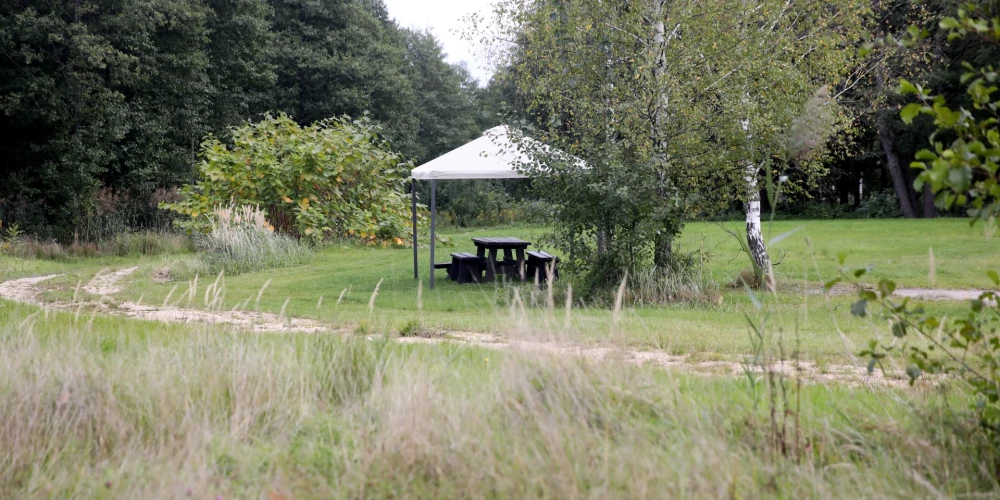 Яблоневый сад, сквер молодоженов, активные зоны: в Латвии появятся новые парки отдыха
