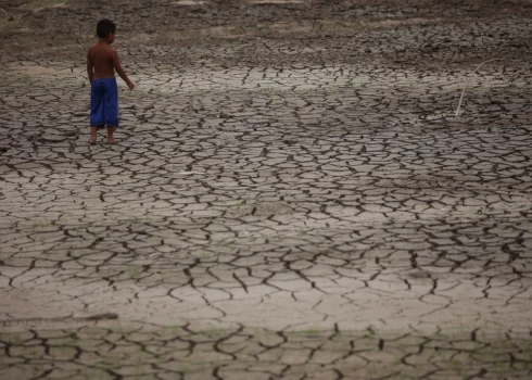 FOTO: Amazones upēs izsīcis ūdens, un mūža mežos iestājies vēl nepieredzēts sausums