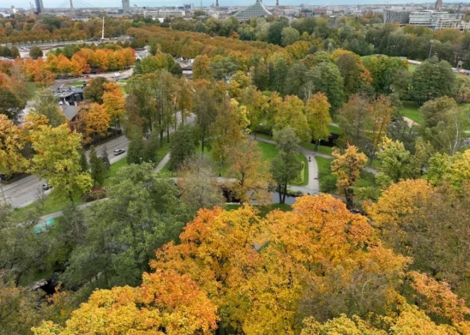 В воскресенье без солнца, но и без дождя