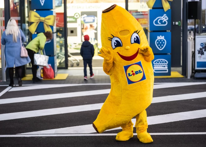 Для всех любопытных! Lidl впервые открывает двери в невидимую часть своих магазинов