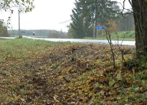 На прямом участке дороги врезался в дерево: под Сигулдой разбился водитель BMW