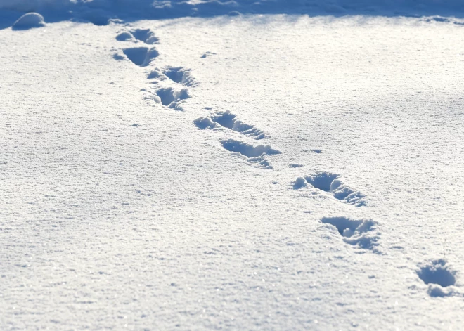 Krāslavas novadā sniega biezums sasniedz astoņus centimetrus