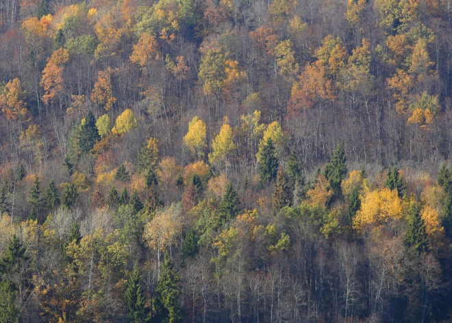 No pirmdienas Latvijā jau atkal gaidāms siltāks laiks