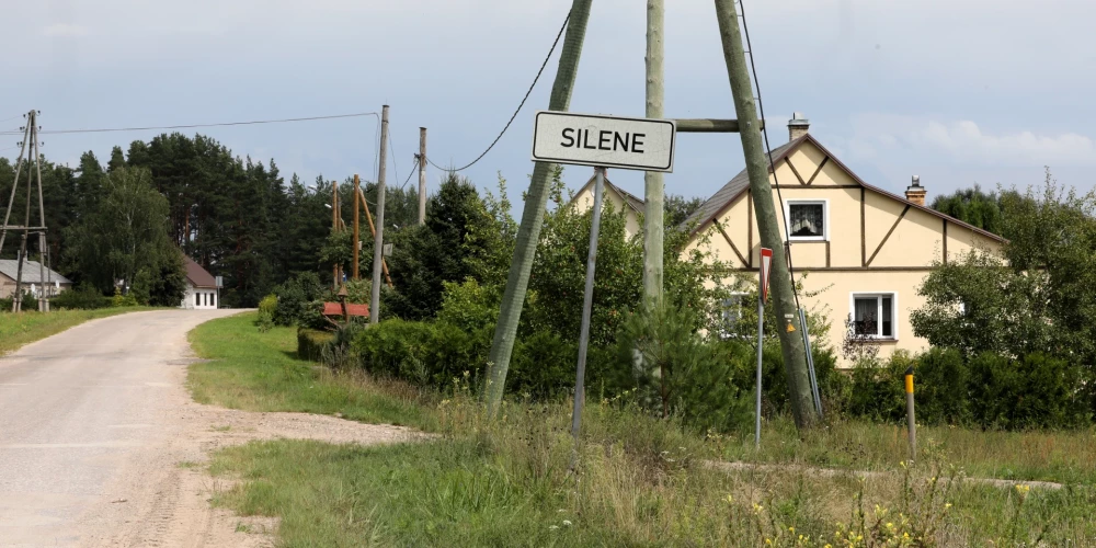 Silene ir apdzīvota vieta Augšdaugavas novada Skrudalienas pagastā, pagasta centrs. Izvietojusies pagasta vidusdaļā Sila ezera ziemeļu krastā pie autoceļa P68. Apdzīvotā vieta izveidojusies Braslavas—Daugavpils ceļa malā un jau 19. gadsimta vidū bija nozīmīgs satiksmes centrs un ceļinieku atpūtas vieta.