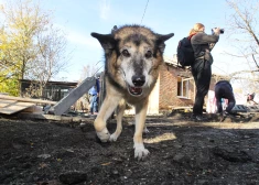 Krievu okupanti turpina ar raķetēm apšaudīt Ukrainas austrumu pilsētas 