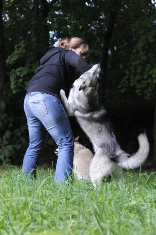 Bieži vien cilvēki jūtas bezspēcīgi un neaizsargāti no agresīvu suņu uzbrukumiem.