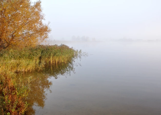 Novembra pirmajā dienā prognozē īslaicīgu lietu, kļūs vēsāk