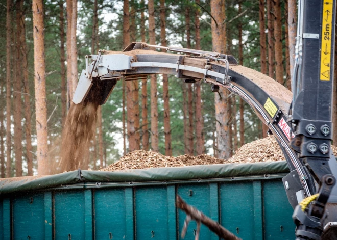 Šķelda – siltums no Latvijas mežiem