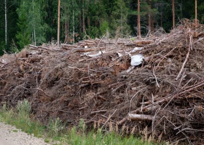 Izvērtējot LVM iesniegumu, konkurences padome soda trīs uzņēmumus