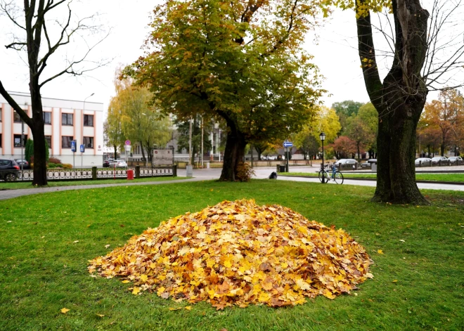 Arī piektdien daudzviet Latvijā spīdēs saule, taču pastiprināsies vējš