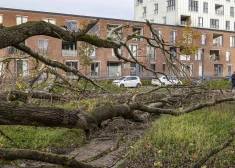 Одна из жертв мощного шторма в Европе - 5-летний украинец