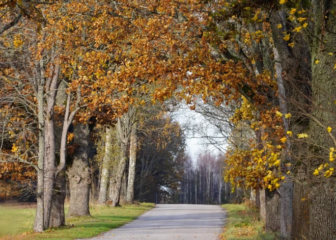 Svētdien laikapstākļi būtiski nemainīsies