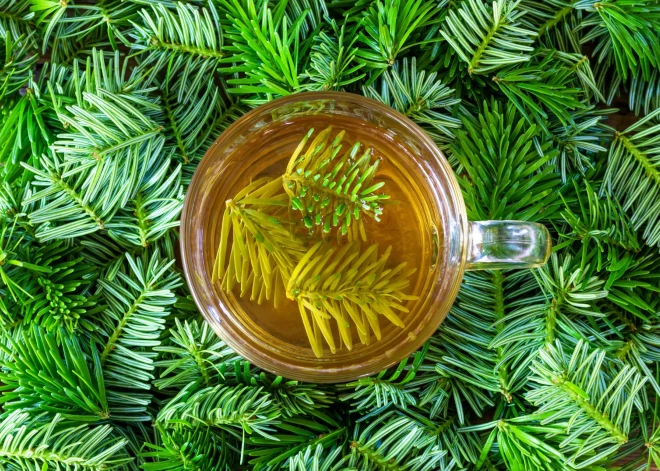 Egles dziedinošais spēks: kā to izmantot savas veselības labā?