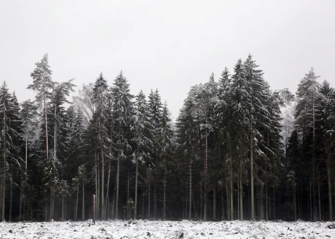 Ziemas mēnešos siltākais laiks gaidāms decembrī, aukstākais - februārī