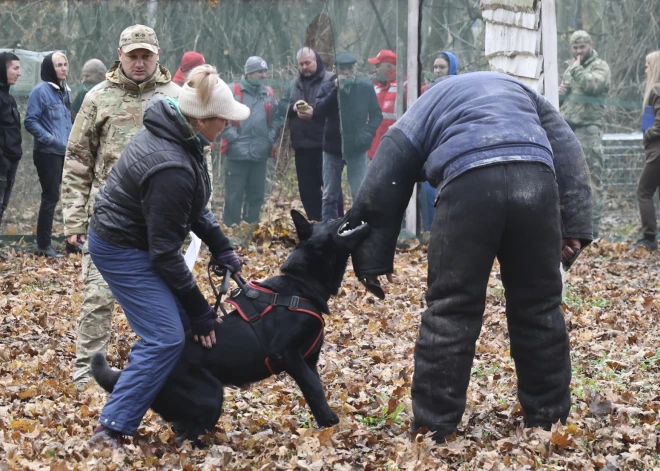 Okupantu dzīvā spēka zaudējumi - 311 750 karavīru, aprēķinājusi Ukraina